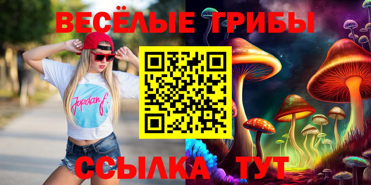 Галлюциногенные грибы Psilocybine cubensis  Вход с VPN  Лыткарино 